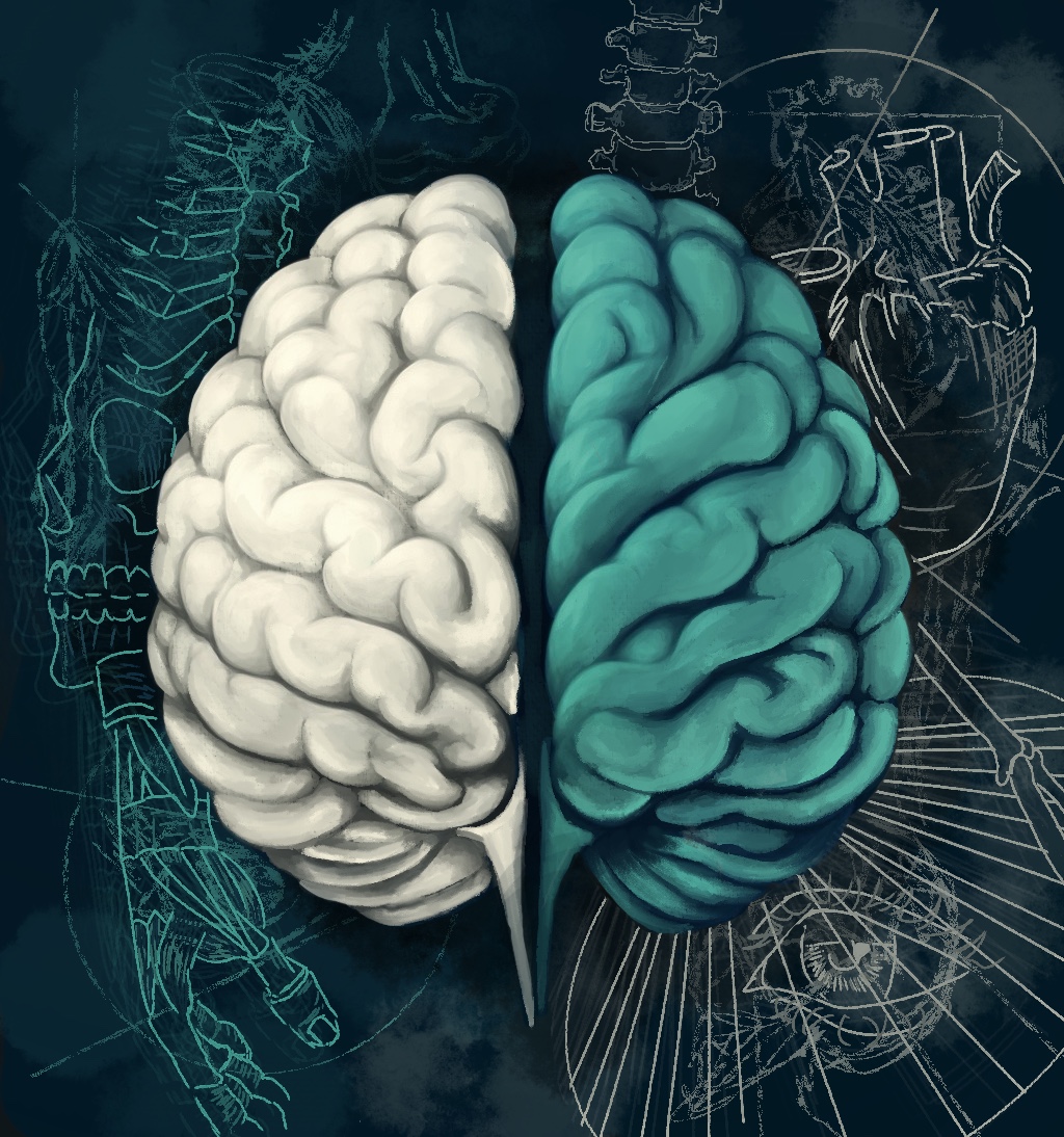Acute Effect of Hypercapnia on Cerebral Autoregulation in Older Adults